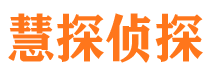 天河市侦探公司